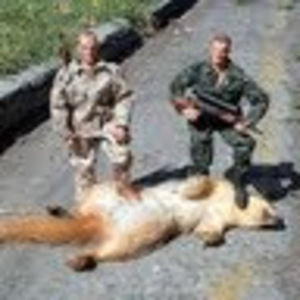 Meet your Posher, Walter